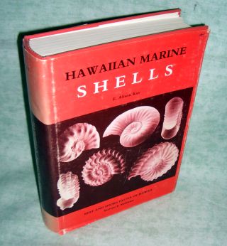Kay, Hawaiian Shells