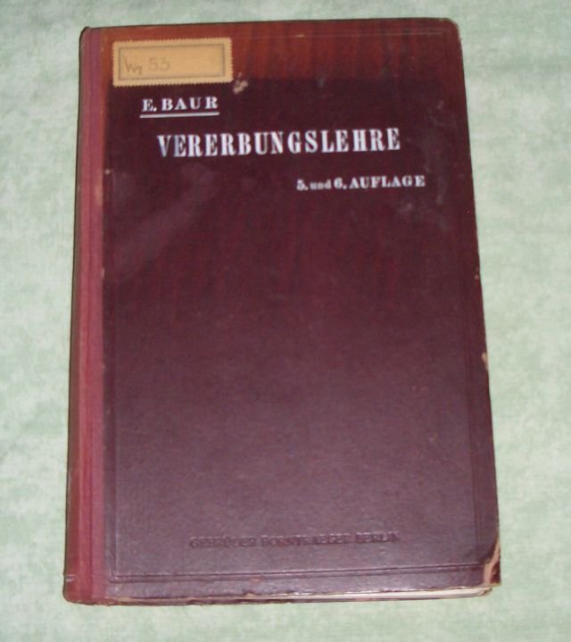 Baur, Vererbungslehre