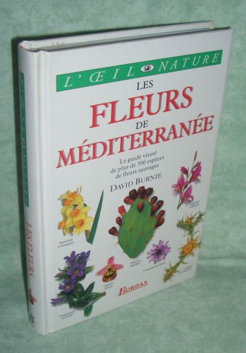 Burnie, Les Fleurs Mediterranee