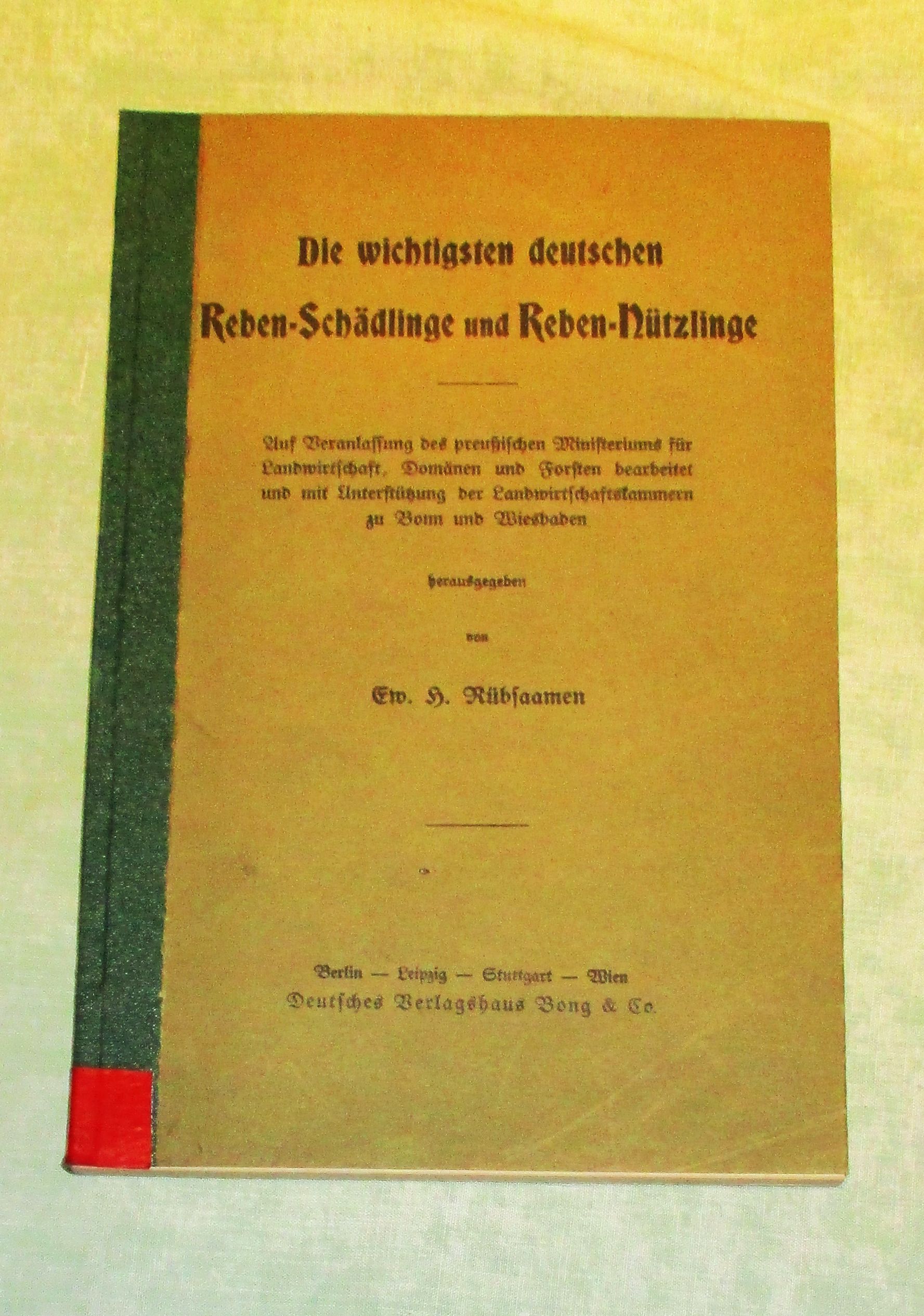 38053A.jpg