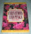 Carnations