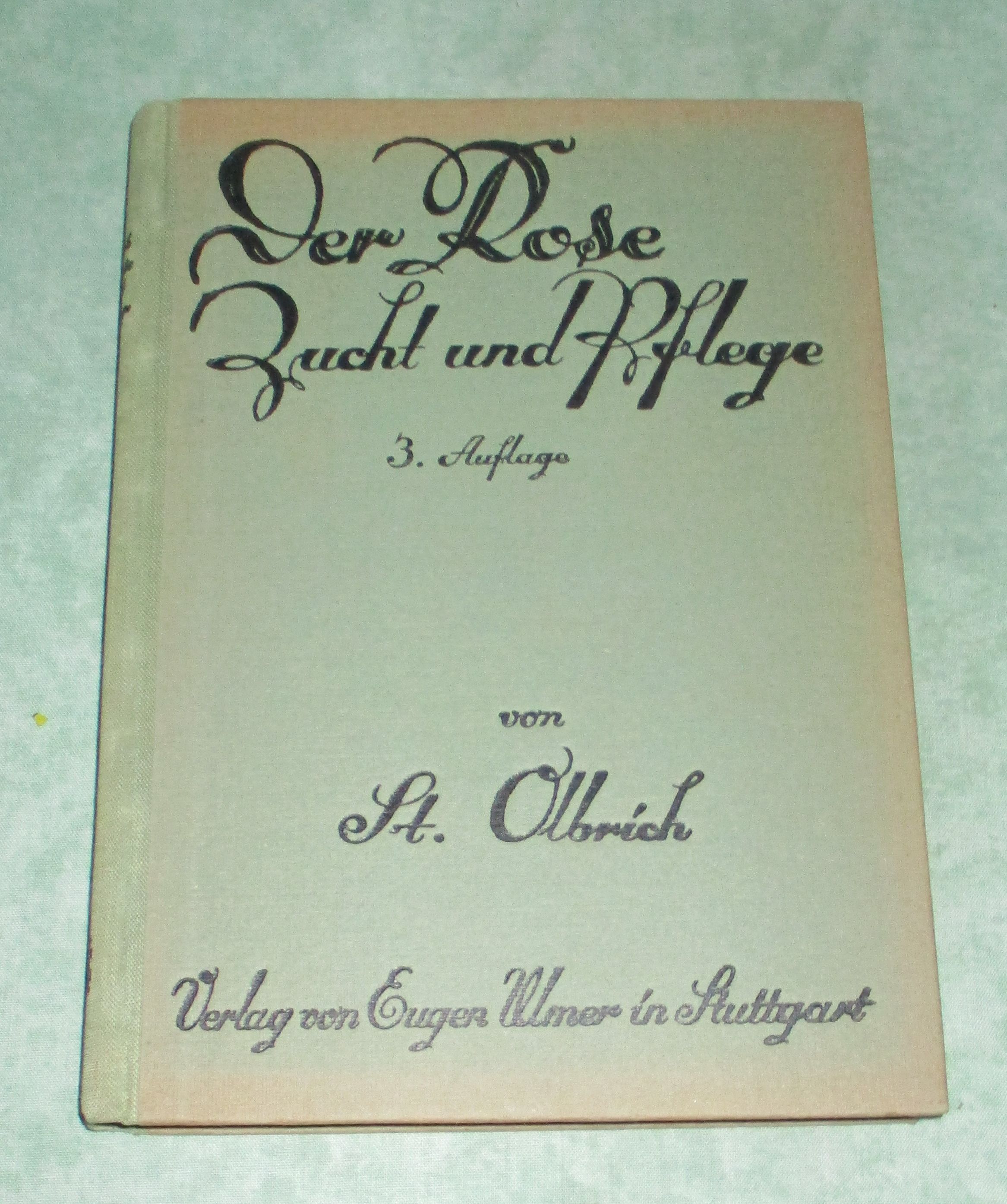 Rose - Zucht und Pflege