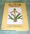 Slipper Orchids