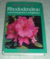 Rhododendron