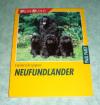 Neufundländer